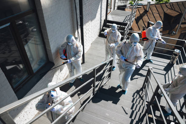 Mold Odor Removal Services in Zolfo Springs, FL