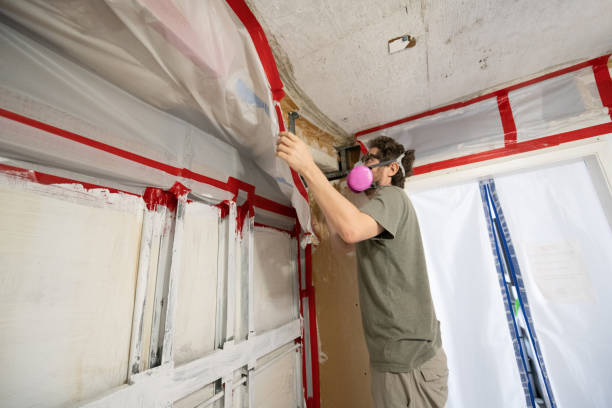 Best Forensic Mold Investigation  in Zolfo Springs, FL