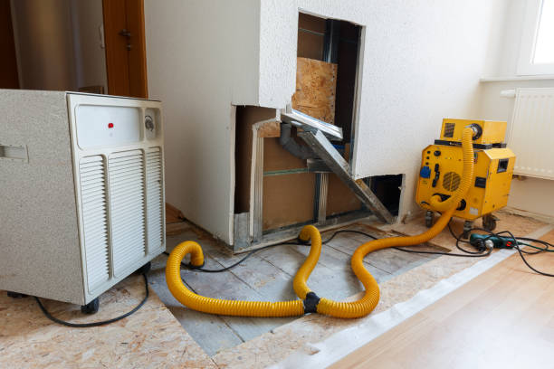 Best Mold Removal for HVAC Installations  in Zolfo Springs, FL