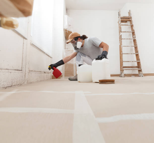 Best Asbestos and Lead Testing During Mold Inspection  in Zolfo Springs, FL